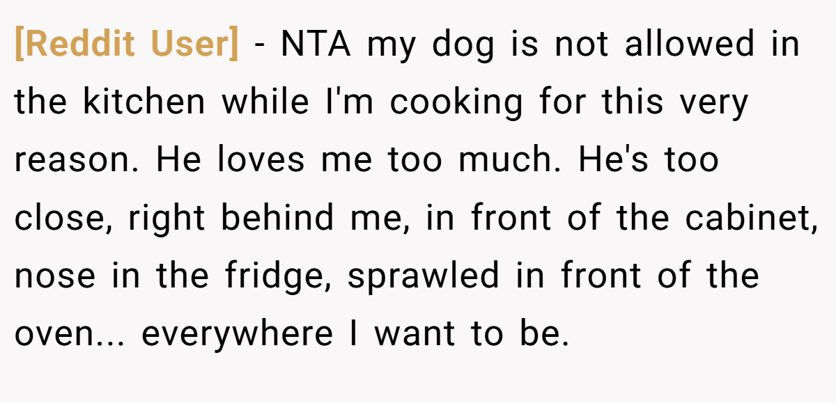 [Reddit User] - NTA my dog is not allowed in the kitchen while I'm cooking for this very reason. He loves me too much. He's too close, right behind me, in front of the cabinet, nose in the fridge, sprawled in front of the oven... everywhere I want to be.