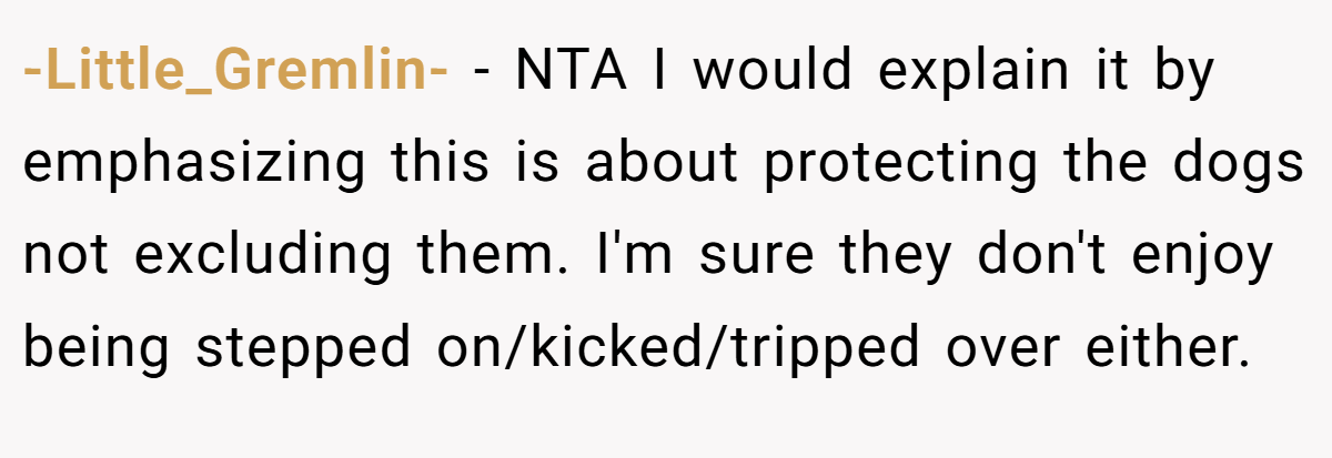 -Little_Gremlin- - NTA I would explain it by emphasizing this is about protecting the dogs not excluding them. I'm sure they don't enjoy being stepped on/kicked/tripped over either.