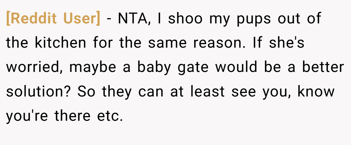 [Reddit User] - NTA, I shoo my pups out of the kitchen for the same reason. If she's worried, maybe a baby gate would be a better solution? So they can at least see you, know you're there etc.