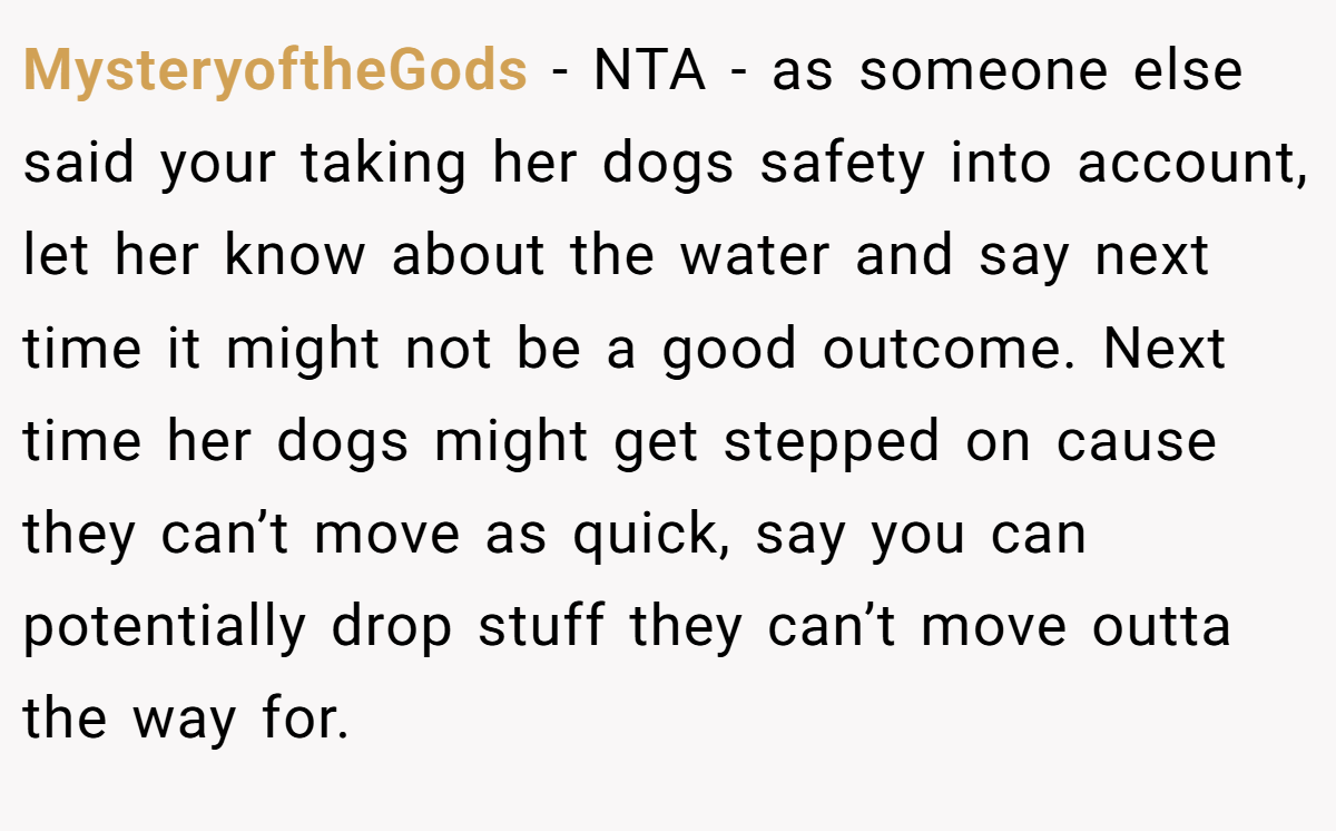 MysteryoftheGods - NTA - as someone else said your taking her dogs safety into account, let her know about the water and say next time it might not be a good outcome. Next time her dogs might get stepped on cause they can’t move as quick, say you can potentially drop stuff they can’t move outta the way for.