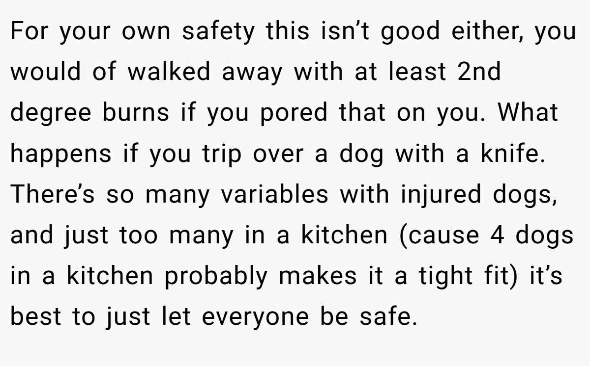 For your own safety this isn’t good either, you would of walked away with at least 2nd degree burns if you pored that on you. What happens if you trip over a dog with a knife. There’s so many variables with injured dogs, and just too many in a kitchen (cause 4 dogs in a kitchen probably makes it a tight fit) it’s best to just let everyone be safe.