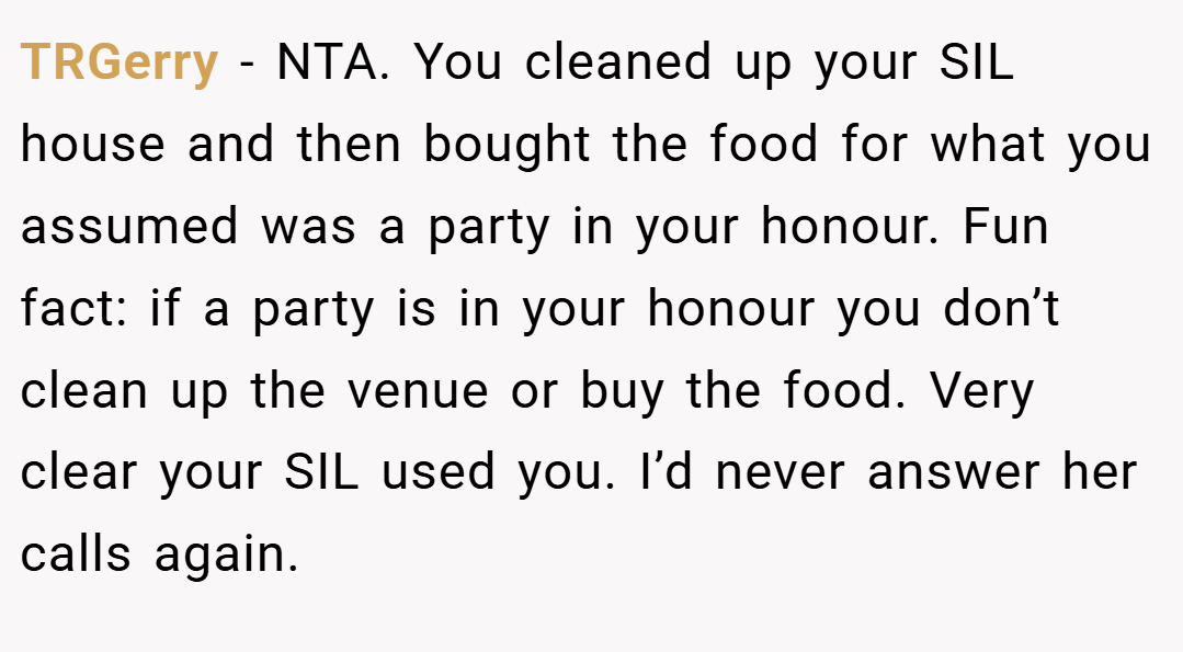 TRGerry − NTA. You cleaned up your SIL house and then bought the food for what you assumed was a party in your honour. Fun fact: if a party is in your honour you don’t clean up the venue or buy the food. Very clear your SIL used you. I’d never answer her calls again.