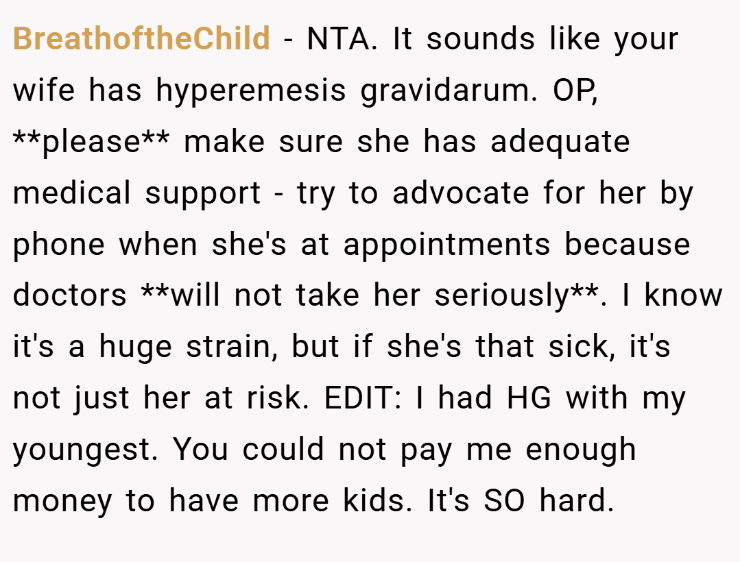 BreathoftheChild − NTA. It sounds like your wife has hyperemesis gravidarum. OP, **please** make sure she has adequate medical support - try to advocate for her by phone when she's at appointments because doctors **will not take her seriously**. I know it's a huge strain, but if she's that sick, it's not just her at risk. EDIT: I had HG with my youngest. You could not pay me enough money to have more kids. It's SO hard.