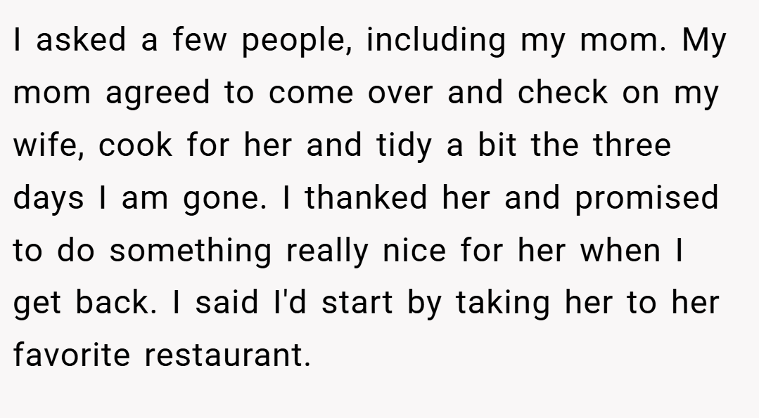 I asked a few people, including my mom. My mom agreed to come over and check on my wife, cook for her and tidy a bit the three days I am gone. I thanked her and promised to do something really nice for her when I get back. I said I'd start by taking her to her favorite restaurant.