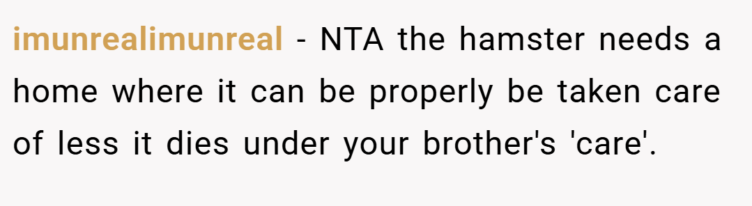 imunrealimunreal − NTA the hamster needs a home where it can be properly be taken care of less it dies under your brother's 'care'.