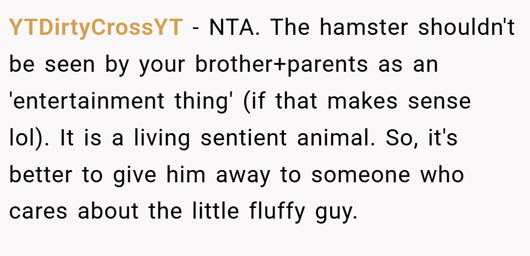 YTDirtyCrossYT − NTA. The hamster shouldn't be seen by your brother+parents as an 'entertainment thing' (if that makes sense lol). It is a living sentient animal. So, it's better to give him away to someone who cares about the little fluffy guy.