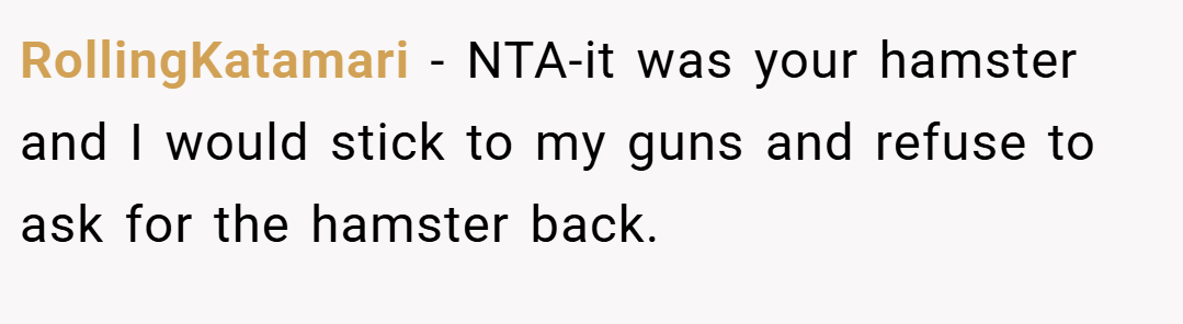 RollingKatamari − NTA-it was your hamster and I would stick to my guns and refuse to ask for the hamster back.