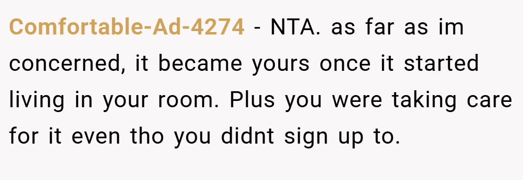 Comfortable-Ad-4274 − NTA. as far as im concerned, it became yours once it started living in your room. Plus you were taking care for it even tho you didnt sign up to.