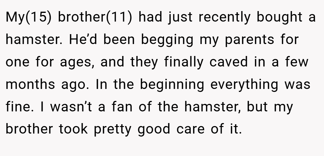 My(15) brother(11) had just recently bought a hamster. He’d been begging my parents for one for ages, and they finally caved in a few months ago. In the beginning everything was fine. I wasn’t a fan of the hamster, but my brother took pretty good care of it.