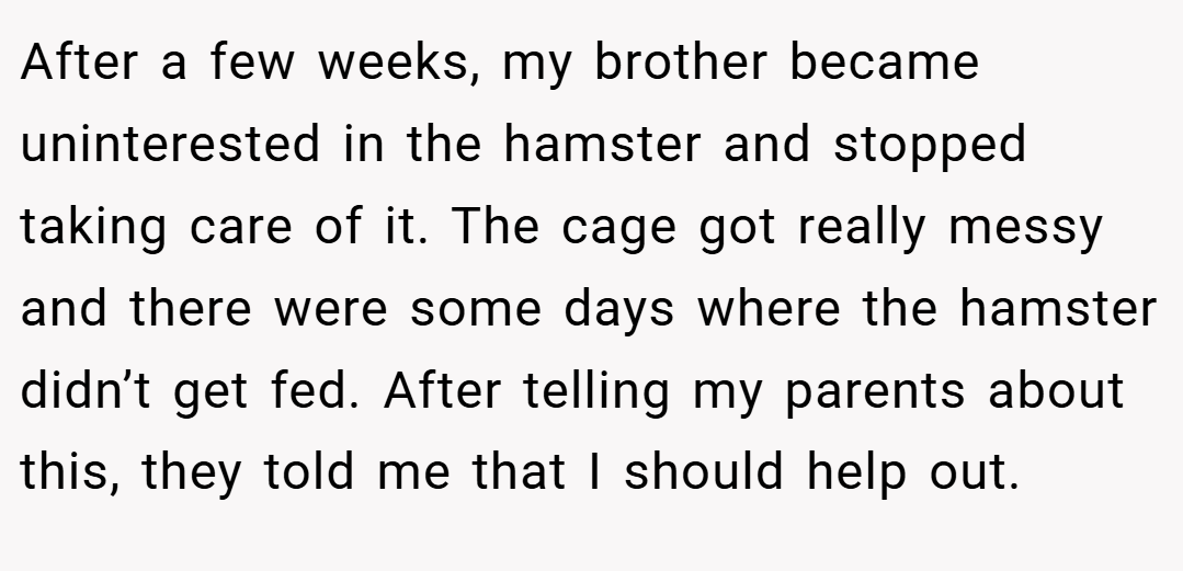 After a few weeks, my brother became uninterested in the hamster and stopped taking care of it. The cage got really messy and there were some days where the hamster didn’t get fed. After telling my parents about this, they told me that I should help out.
