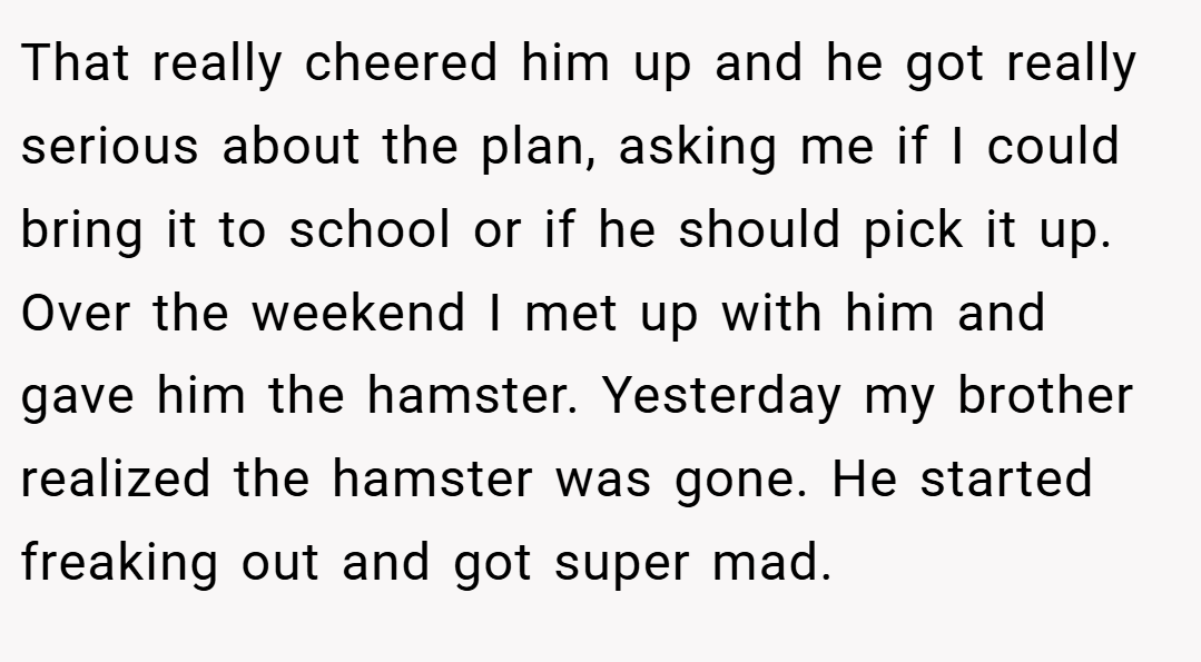 That really cheered him up and he got really serious about the plan, asking me if I could bring it to school or if he should pick it up. Over the weekend I met up with him and gave him the hamster. Yesterday my brother realized the hamster was gone. He started freaking out and got super mad.
