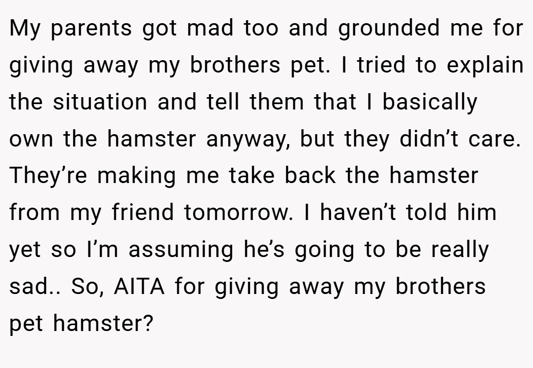 My parents got mad too and grounded me for giving away my brothers pet. I tried to explain the situation and tell them that I basically own the hamster anyway, but they didn’t care. They’re making me take back the hamster from my friend tomorrow. I haven’t told him yet so I’m assuming he’s going to be really sad.. So, AITA for giving away my brothers pet hamster?