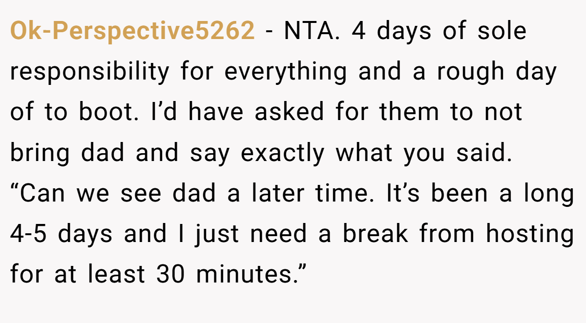 Ok-Perspective5262 − NTA. 4 days of sole responsibility for everything and a rough day of to boot. I’d have asked for them to not bring dad and say exactly what you said. “Can we see dad a later time. It’s been a long 4-5 days and I just need a break from hosting for at least 30 minutes.”