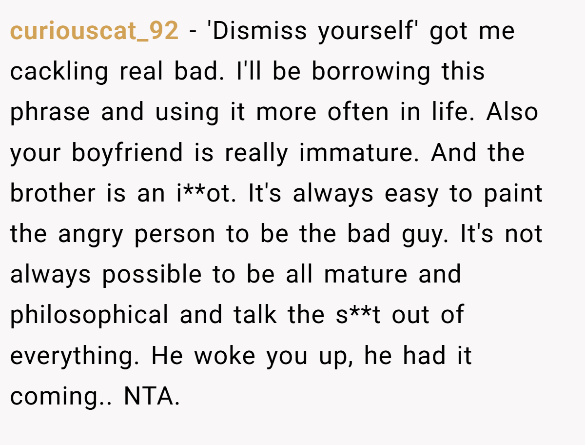 curiouscat_92 − 'Dismiss yourself' got me cackling real bad. I'll be borrowing this phrase and using it more often in life. Also your boyfriend is really immature. And the brother is an i**ot. It's always easy to paint the angry person to be the bad guy. It's not always possible to be all mature and philosophical and talk the s**t out of everything. He woke you up, he had it coming.. NTA.