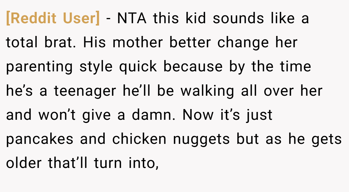 [Reddit User] − NTA this kid sounds like a total brat. His mother better change her parenting style quick because by the time he’s a teenager he’ll be walking all over her and won’t give a damn. Now it’s just pancakes and chicken nuggets but as he gets older that’ll turn into,