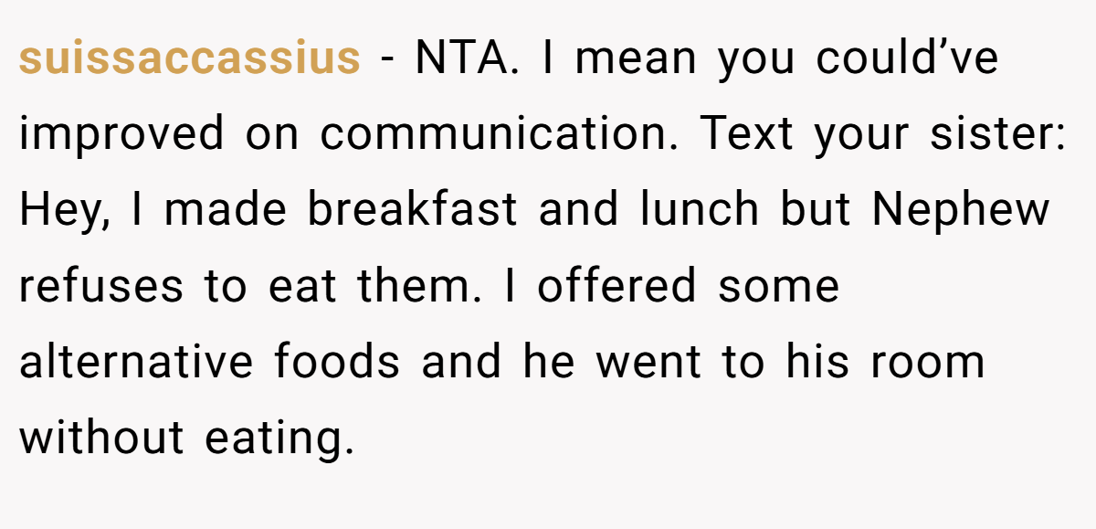 suissaccassius − NTA. I mean you could’ve improved on communication. Text your sister: Hey, I made breakfast and lunch but Nephew refuses to eat them. I offered some alternative foods and he went to his room without eating.