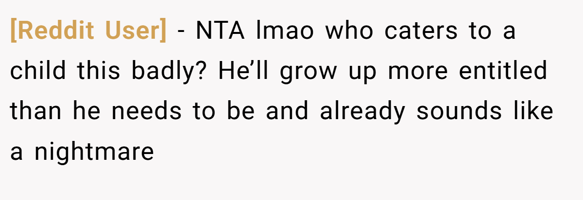 [Reddit User] − NTA lmao who caters to a child this badly? He’ll grow up more entitled than he needs to be and already sounds like a nightmare