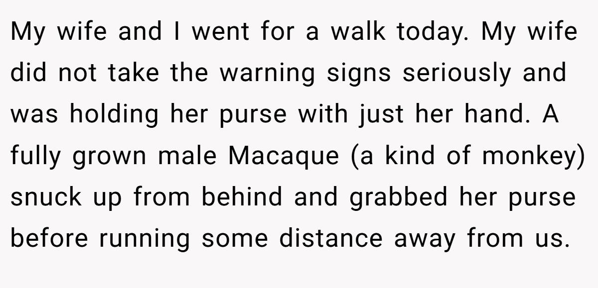 My wife and I went for a walk today. My wife did not take the warning signs seriously and was holding her purse with just her hand. A fully grown male Macaque (a kind of monkey) snuck up from behind and grabbed her purse before running some distance away from us.