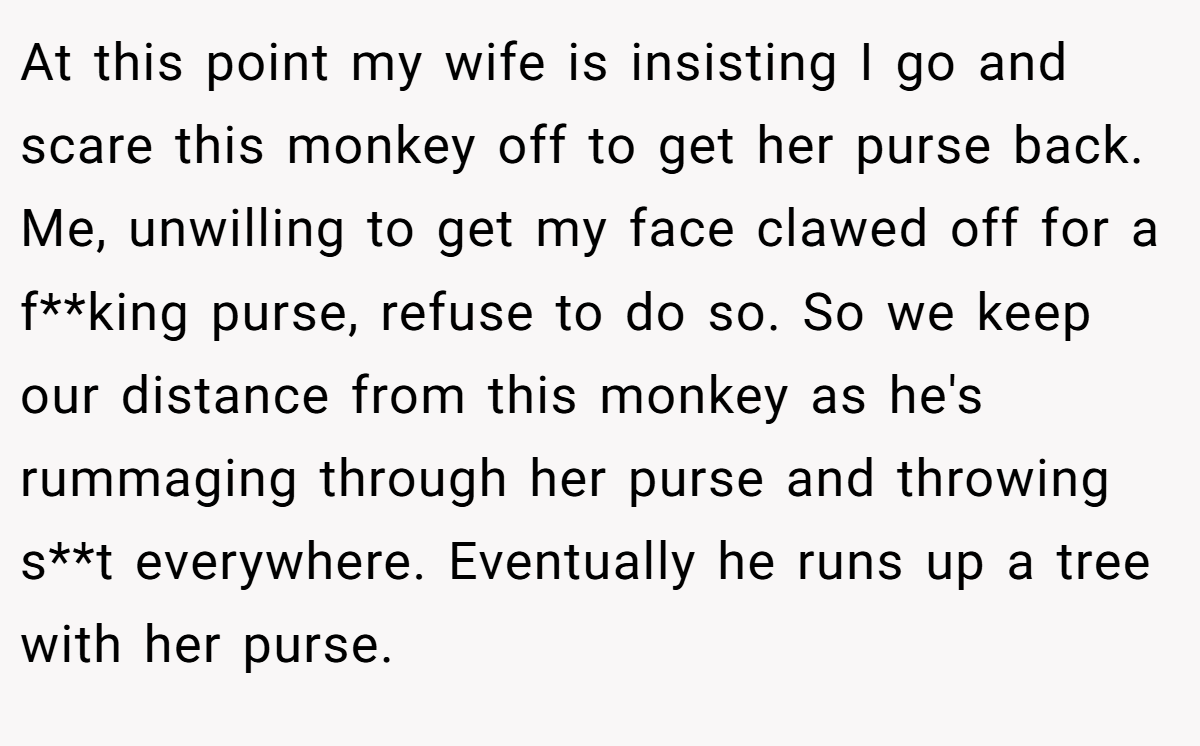 At this point my wife is insisting I go and scare this monkey off to get her purse back. Me, unwilling to get my face clawed off for a f**king purse, refuse to do so. So we keep our distance from this monkey as he's rummaging through her purse and throwing s**t everywhere. Eventually he runs up a tree with her purse.