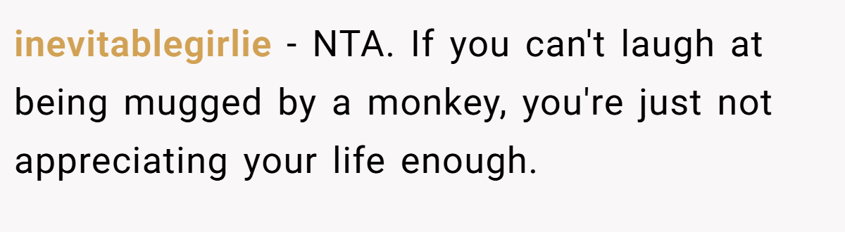 inevitablegirlie - NTA. If you can't laugh at being mugged by a monkey, you're just not appreciating your life enough.