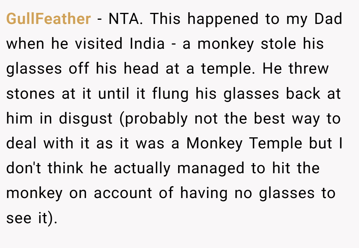GullFeather - NTA. This happened to my Dad when he visited India - a monkey stole his glasses off his head at a temple. He threw stones at it until it flung his glasses back at him in disgust (probably not the best way to deal with it as it was a Monkey Temple but I don't think he actually managed to hit the monkey on account of having no glasses to see it).
