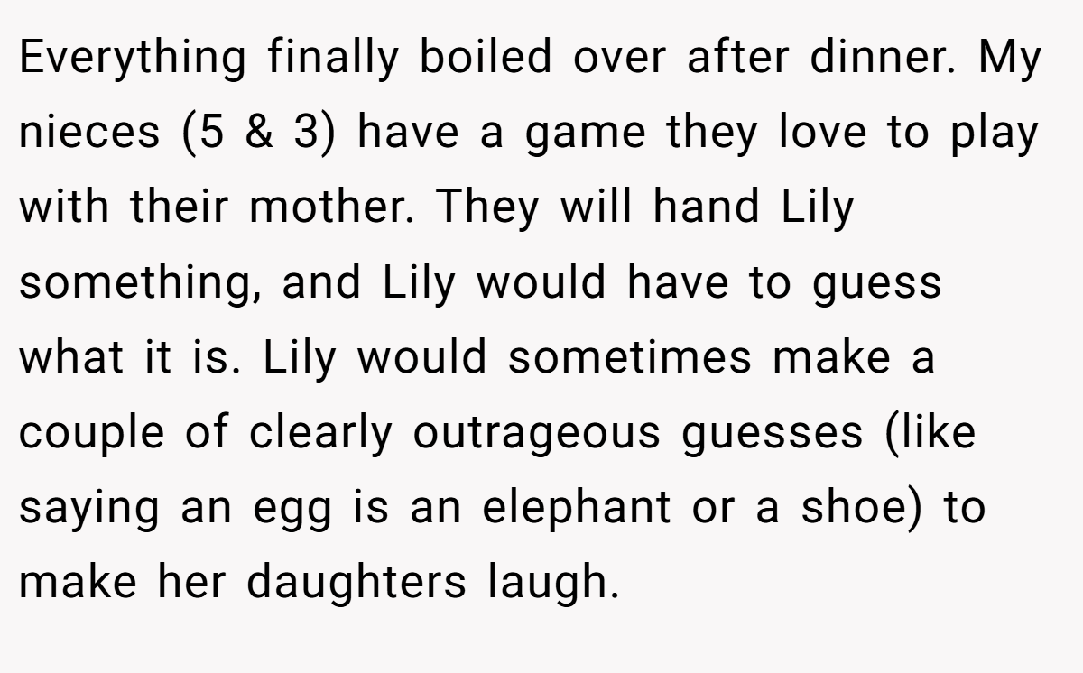 Everything finally boiled over after dinner. My nieces (5 & 3) have a game they love to play with their mother. They will hand Lily something, and Lily would have to guess what it is. Lily would sometimes make a couple of clearly outrageous guesses (like saying an egg is an elephant or a shoe) to make her daughters laugh.