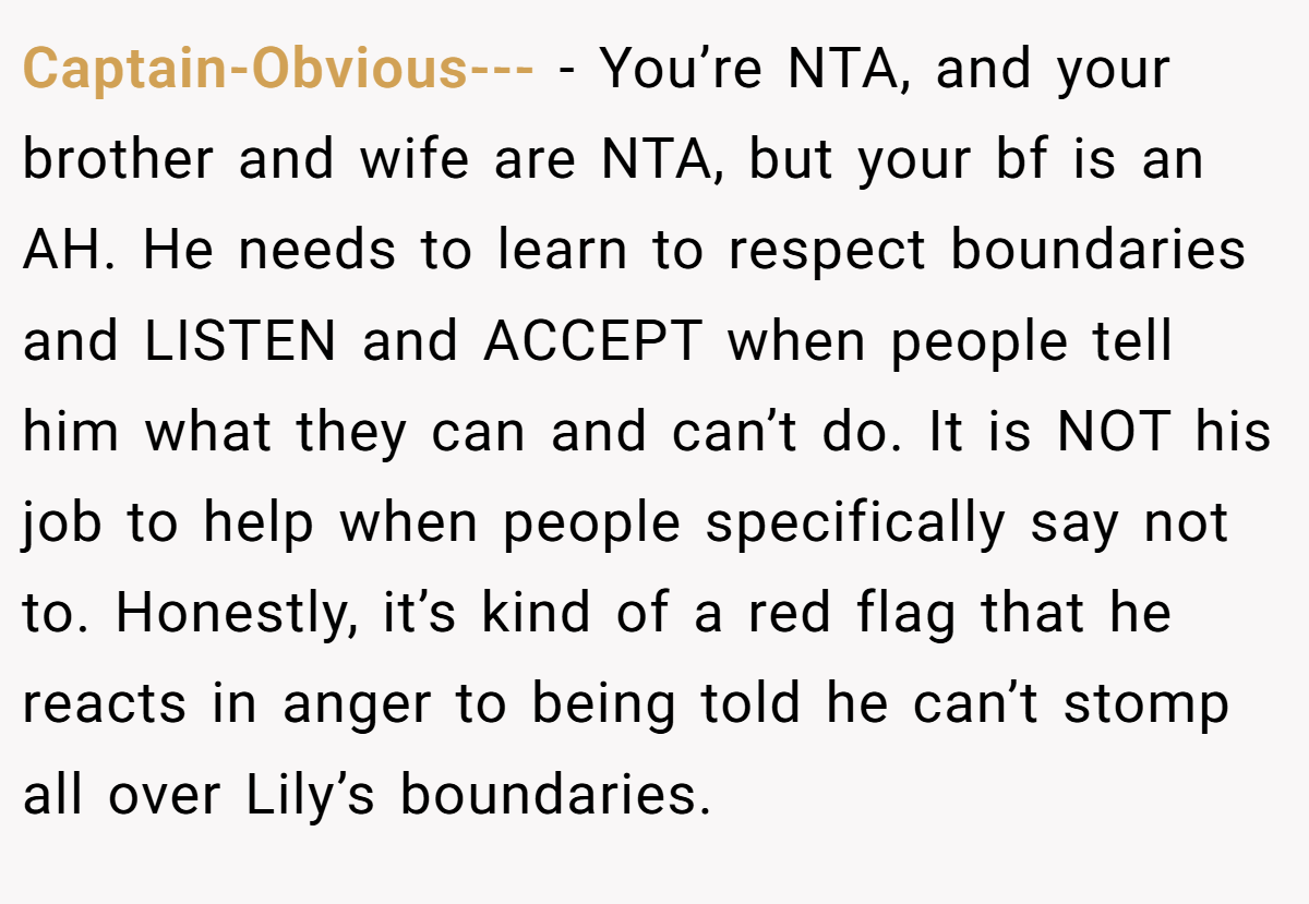Captain-Obvious--- - You’re NTA, and your brother and wife are NTA, but your bf is an AH. He needs to learn to respect boundaries and LISTEN and ACCEPT when people tell him what they can and can’t do. It is NOT his job to help when people specifically say not to. Honestly, it’s kind of a red flag that he reacts in anger to being told he can’t stomp all over Lily’s boundaries.