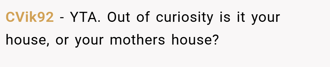 CVik92 − YTA. Out of curiosity is it your house, or your mothers house?