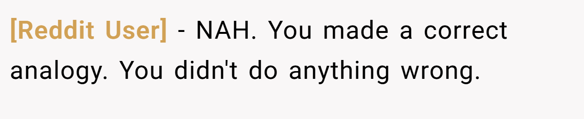 [Reddit User] − NAH. You made a correct analogy. You didn't do anything wrong.
