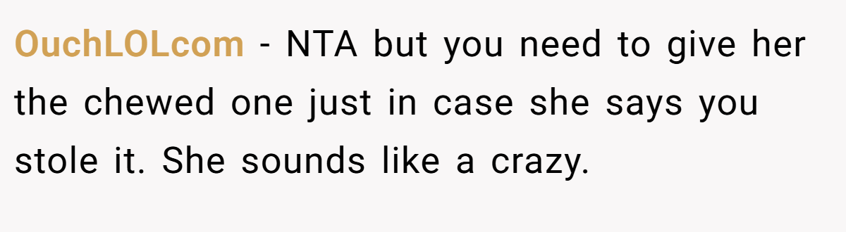 OuchLOLcom − NTA but you need to give her the chewed one just in case she says you stole it. She sounds like a crazy.