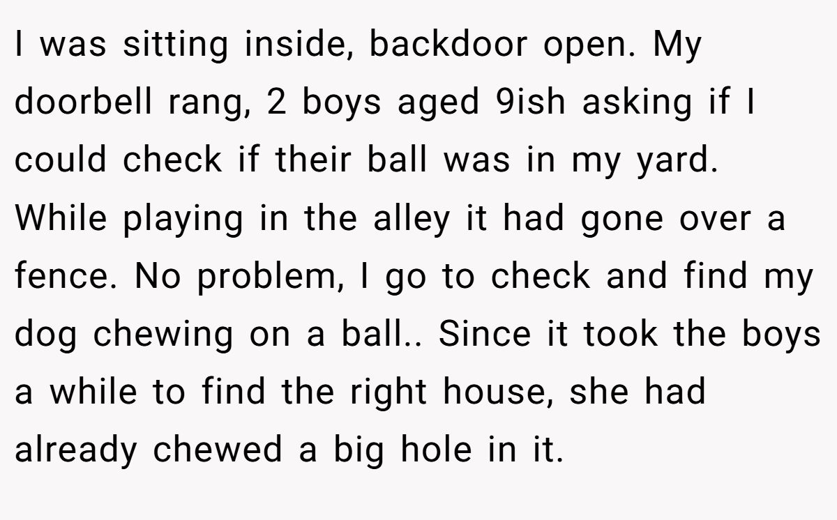 I was sitting inside, backdoor open. My doorbell rang, 2 boys aged 9ish asking if I could check if their ball was in my yard. While playing in the alley it had gone over a fence. No problem, I go to check and find my dog chewing on a ball.. Since it took the boys a while to find the right house, she had already chewed a big hole in it.