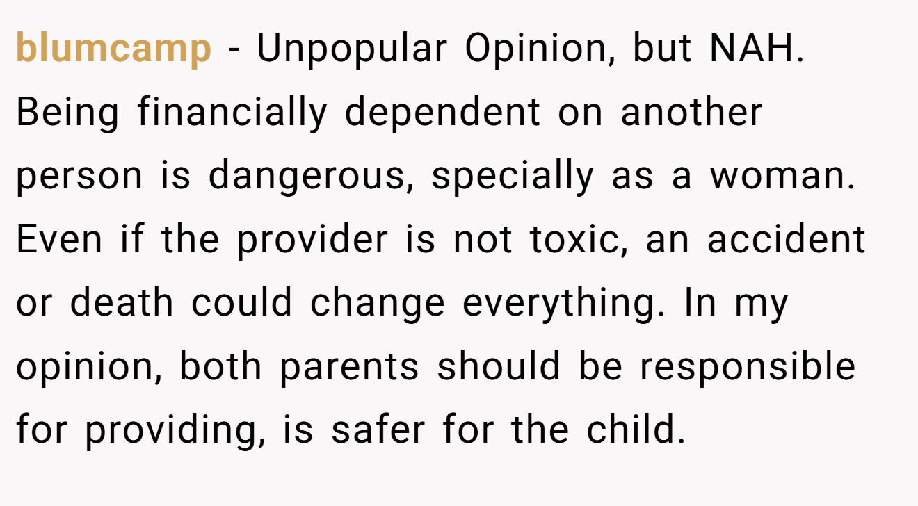 blumcamp - Unpopular Opinion, but NAH. Being financially dependent on another person is dangerous, specially as a woman. Even if the provider is not toxic, an accident or death could change everything. In my opinion, both parents should be responsible for providing, is safer for the child.