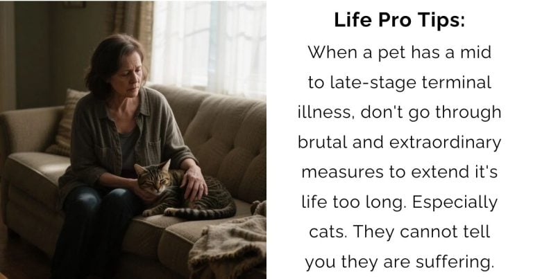 When Love Means Letting Go: A Pet Owner’s Heartfelt Lesson