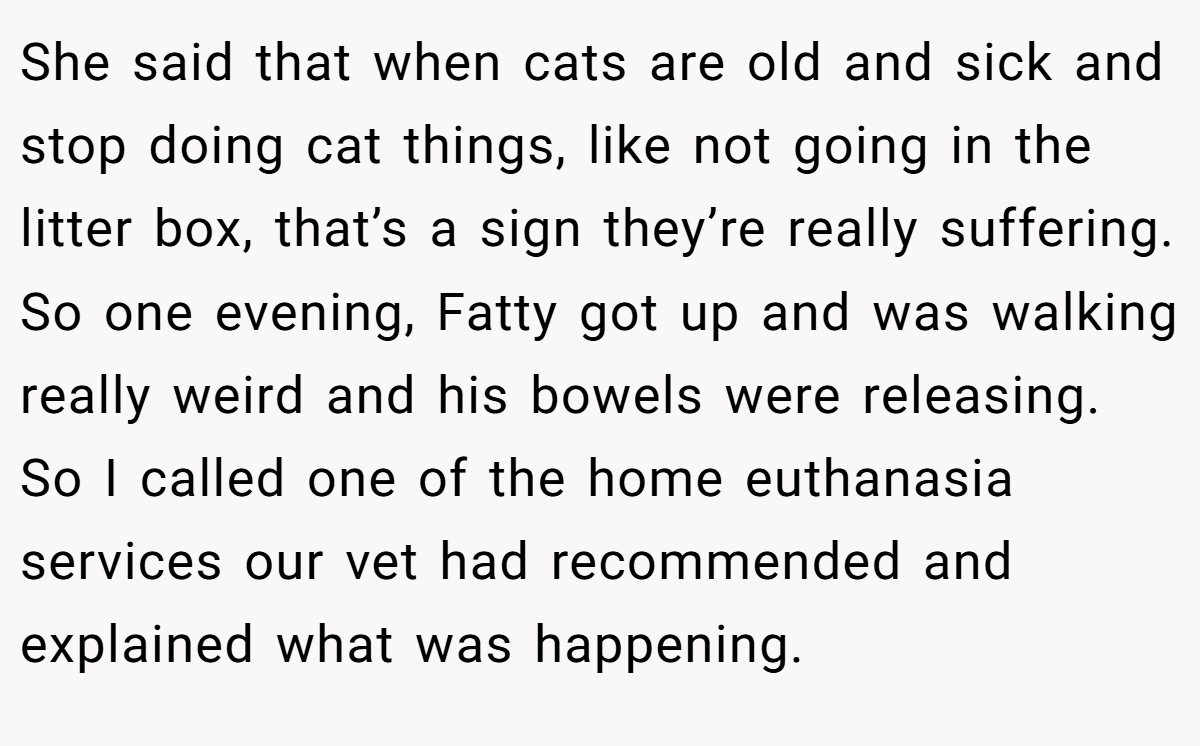 She said that when cats are old and sick and stop doing cat things, like not going in the litter box, that’s a sign they’re really suffering. So one evening, Fatty got up and was walking really weird and his bowels were releasing. So I called one of the home euthanasia services our vet had recommended and explained what was happening.