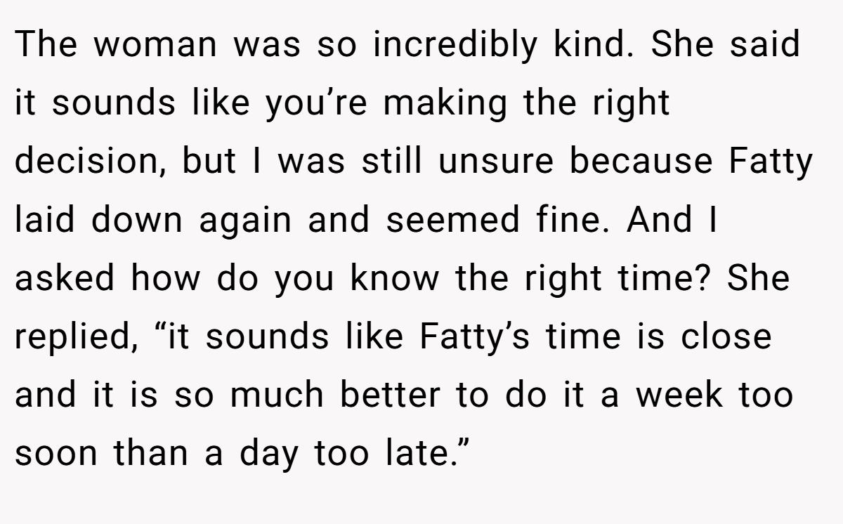The woman was so incredibly kind. She said it sounds like you’re making the right decision, but I was still unsure because Fatty laid down again and seemed fine. And I asked how do you know the right time? She replied, “it sounds like Fatty’s time is close and it is so much better to do it a week too soon than a day too late.”