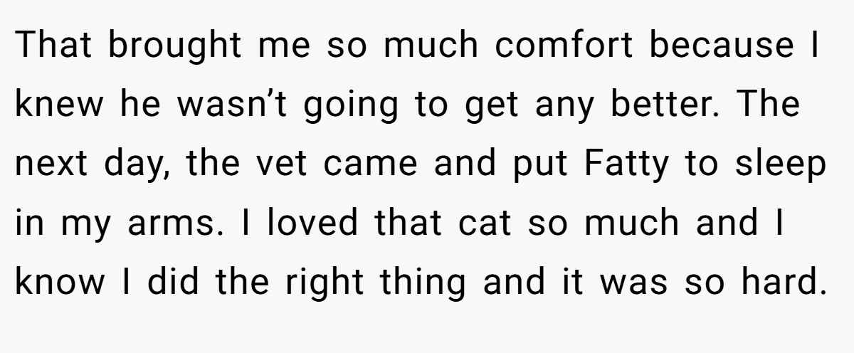 That brought me so much comfort because I knew he wasn’t going to get any better. The next day, the vet came and put Fatty to sleep in my arms. I loved that cat so much and I know I did the right thing and it was so hard.