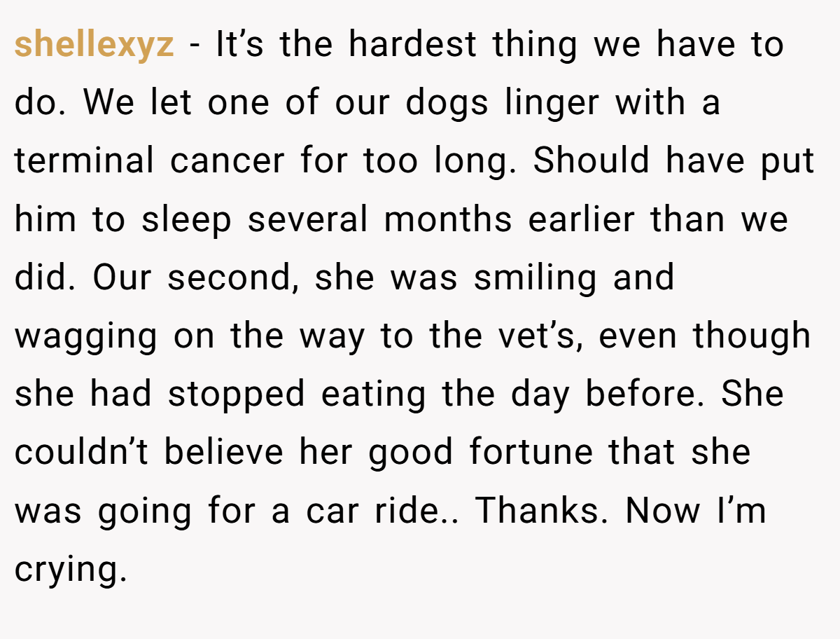 shellexyz − It’s the hardest thing we have to do. We let one of our dogs linger with a terminal cancer for too long. Should have put him to sleep several months earlier than we did. Our second, she was smiling and wagging on the way to the vet’s, even though she had stopped eating the day before. She couldn’t believe her good fortune that she was going for a car ride.. Thanks. Now I’m crying.