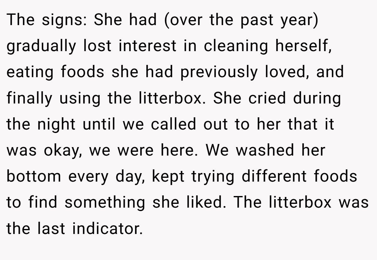 The signs: She had (over the past year) gradually lost interest in cleaning herself, eating foods she had previously loved, and finally using the litterbox. She cried during the night until we called out to her that it was okay, we were here. We washed her bottom every day, kept trying different foods to find something she liked. The litterbox was the last indicator.