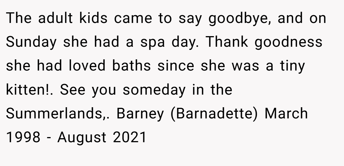 The adult kids came to say goodbye, and on Sunday she had a spa day. Thank goodness she had loved baths since she was a tiny kitten!. See you someday in the Summerlands,. Barney (Barnadette) March 1998 - August 2021