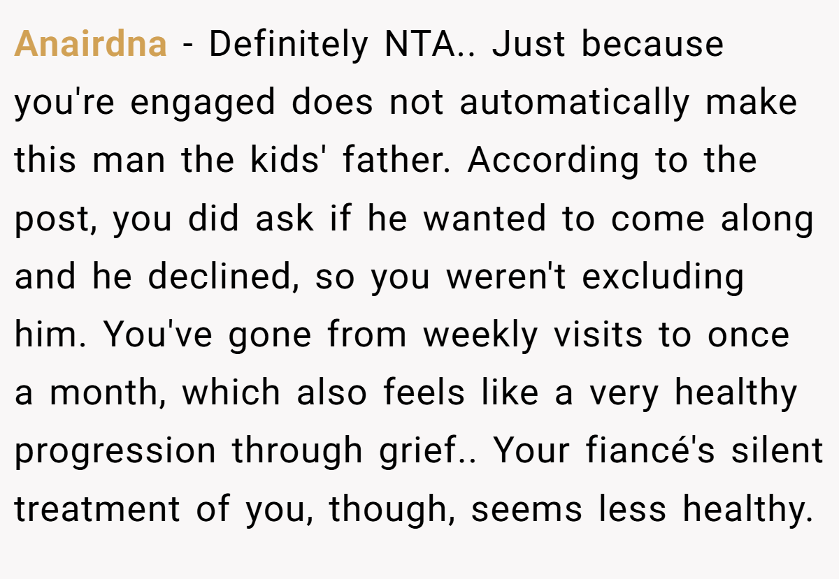 Anairdna − Definitely NTA.. Just because you're engaged does not automatically make this man the kids' father. According to the post, you did ask if he wanted to come along and he declined, so you weren't excluding him. You've gone from weekly visits to once a month, which also feels like a very healthy progression through grief.. Your fiancé's silent treatment of you, though, seems less healthy.