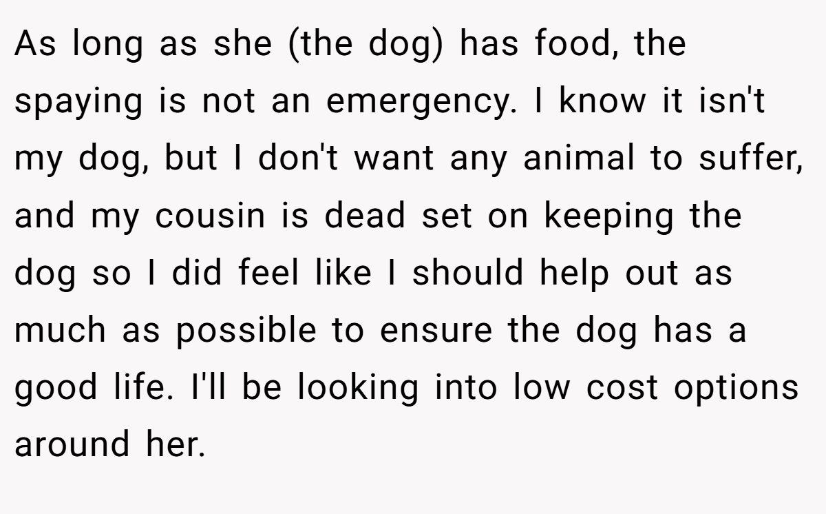 As long as she (the dog) has food, the spaying is not an emergency. I know it isn't my dog, but I don't want any animal to suffer, and my cousin is dead set on keeping the dog so I did feel like I should help out as much as possible to ensure the dog has a good life. I'll be looking into low cost options around her.