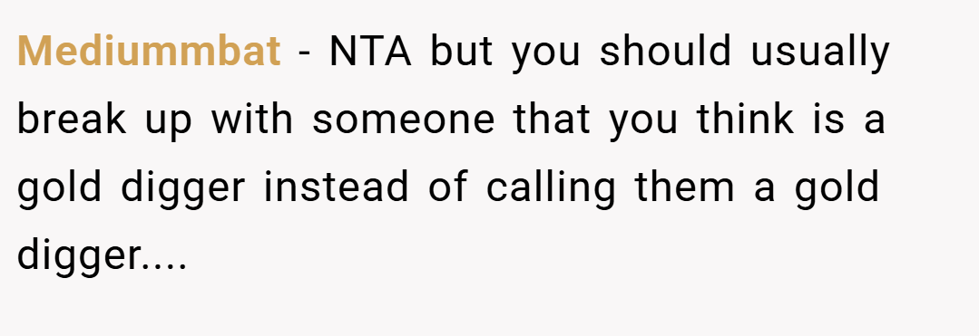Mediummbat − NTA but you should usually break up with someone that you think is a gold digger instead of calling them a gold digger....