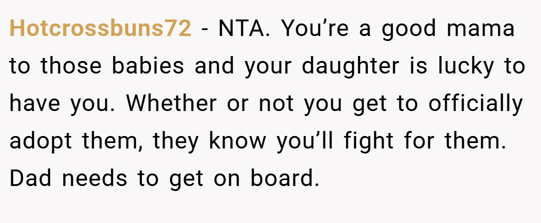 Hotcrossbuns72 − NTA. You’re a good mama to those babies and your daughter is lucky to have you. Whether or not you get to officially adopt them, they know you’ll fight for them. Dad needs to get on board.
