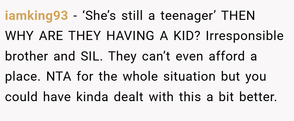 iamking93 − ‘She’s still a teenager’ THEN WHY ARE THEY HAVING A KID? Irresponsible brother and SIL. They can’t even afford a place. NTA for the whole situation but you could have kinda dealt with this a bit better.