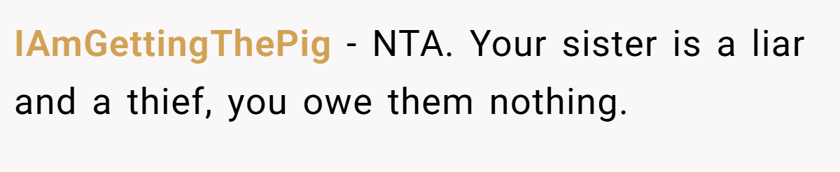 IAmGettingThePig − NTA. Your sister is a liar and a thief, you owe them nothing.