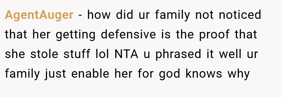 AgentAuger − how did ur family not noticed that her getting defensive is the proof that she stole stuff lol NTA u phrased it well ur family just enable her for god knows why