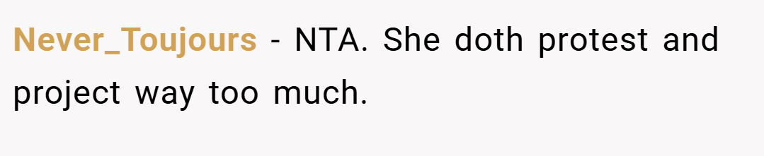 Never_Toujours − NTA. She doth protest and project way too much.