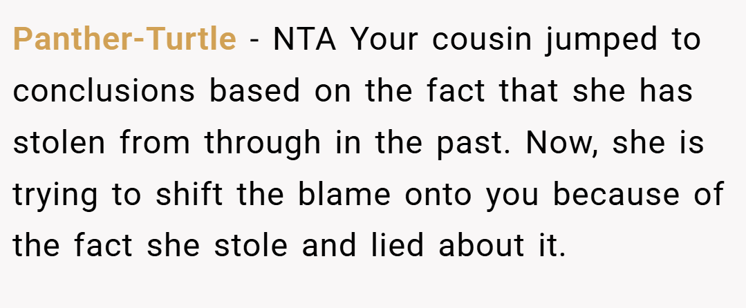 Panther-Turtle − NTA Your cousin jumped to conclusions based on the fact that she has stolen from through in the past. Now, she is trying to shift the blame onto you because of the fact she stole and lied about it.