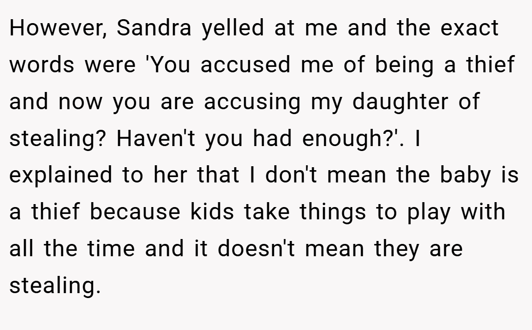 However, Sandra yelled at me and the exact words were 'You accused me of being a thief and now you are accusing my daughter of stealing? Haven't you had enough?'. I explained to her that I don't mean the baby is a thief because kids take things to play with all the time and it doesn't mean they are stealing.