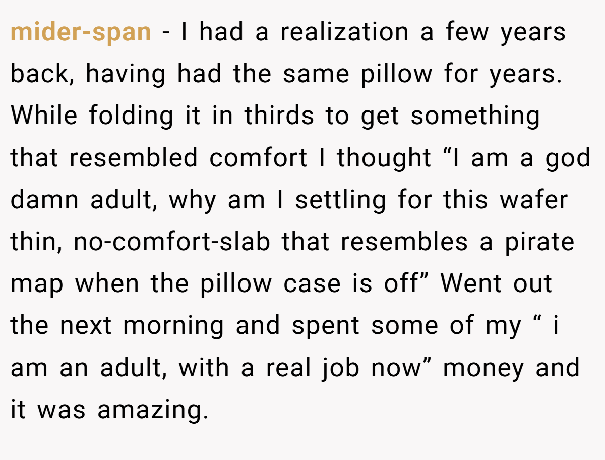 mider-span − I had a realization a few years back, having had the same pillow for years. While folding it in thirds to get something that resembled comfort I thought “I am a god damn adult, why am I settling for this wafer thin, no-comfort-slab that resembles a pirate map when the pillow case is off” Went out the next morning and spent some of my “ i am an adult, with a real job now” money and it was amazing.